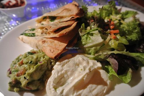 Clear Head - Lehka Hlava at Clear Head - Lehka Hlava in Prague