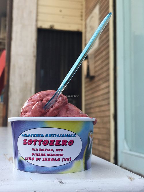 vegan berry ice cream, sugar free  at Sottozero in Jesolo