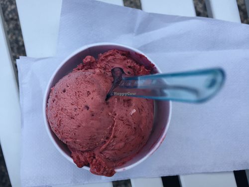 berry vegan ice cream, also sugar free at Sottozero in Jesolo
