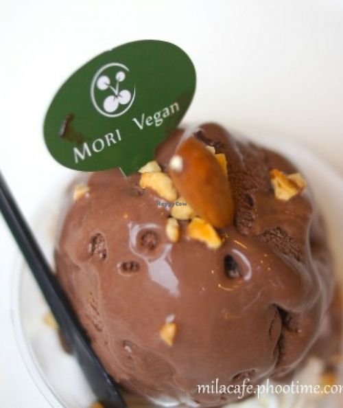 After turning vegan for years, this is the most creamy and milky chocolate ice cream I've ever tasted.  at Mori Vegan in Kaohsiung