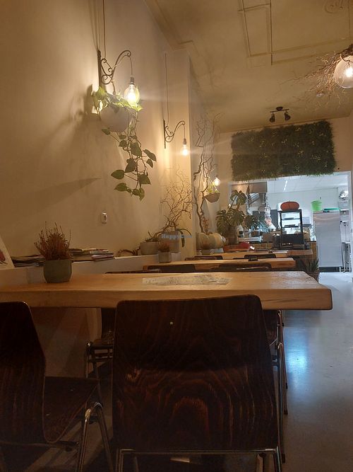  at De Herbivoor in Groningen