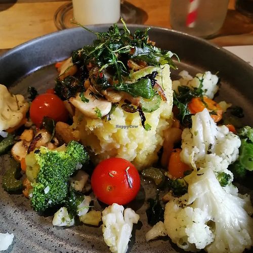  at Taufsteinhutte in Schotten