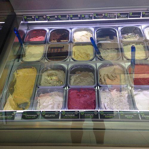 20 flavours of organic vegan ice cream! at Heladeria Eco Deleite in Granada