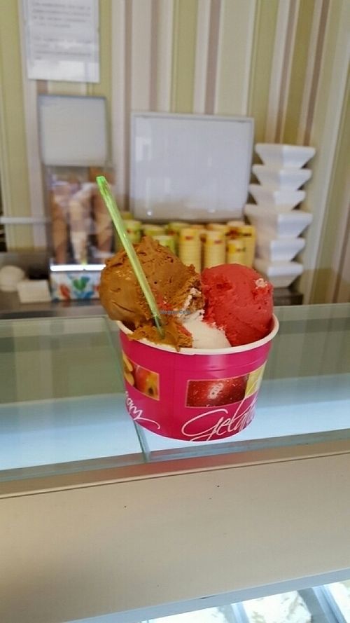 delicious  at Heladeria Eco Deleite in Granada