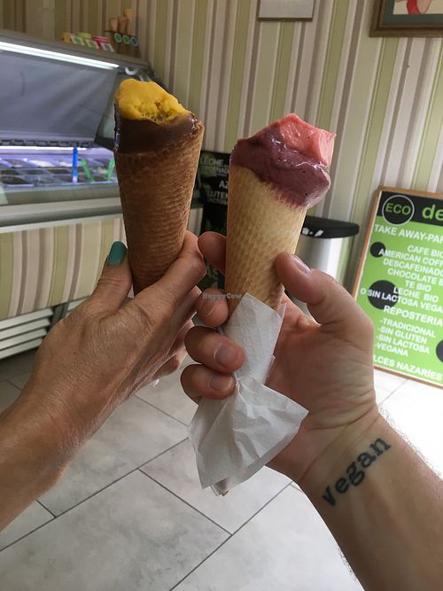 Vegan ice cream -double delicious ?  at Heladeria Eco Deleite in Granada