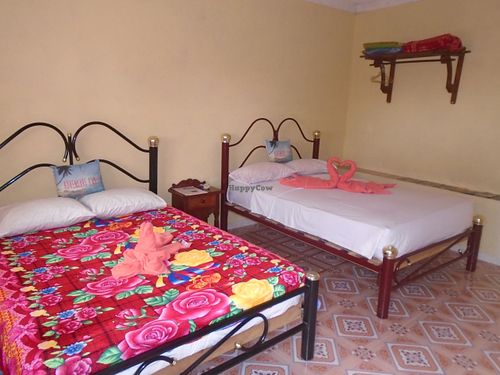 The tranquility Room at Casa El Delfin in Trinidad