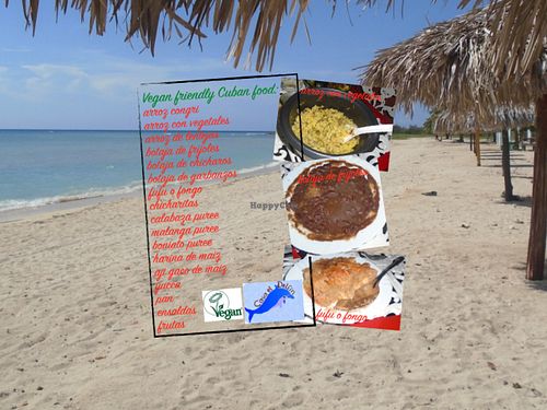 Sun, sand, sea and a vegan paradise.... at Casa El Delfin in Trinidad