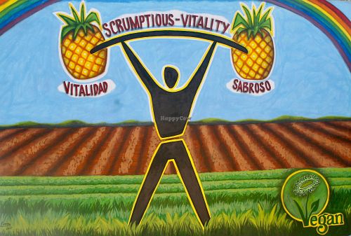 Come try our sumptious tropical flavours, all natural, organic, GMO free and 100% vegan at Casa El Delfin in Trinidad