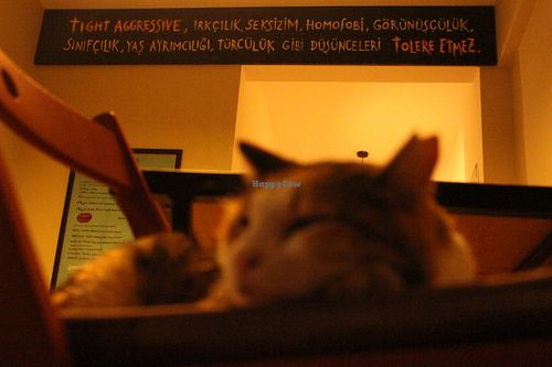 Tight Aggressive does not tolerate racism, sexism, homophobia, lookism, classism, agism and speciesism. at Tight Aggressive in Istanbul