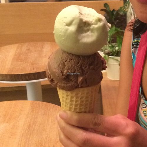 two scoops! at Van Leeuwen Ice Cream - Williamsburg in Brooklyn