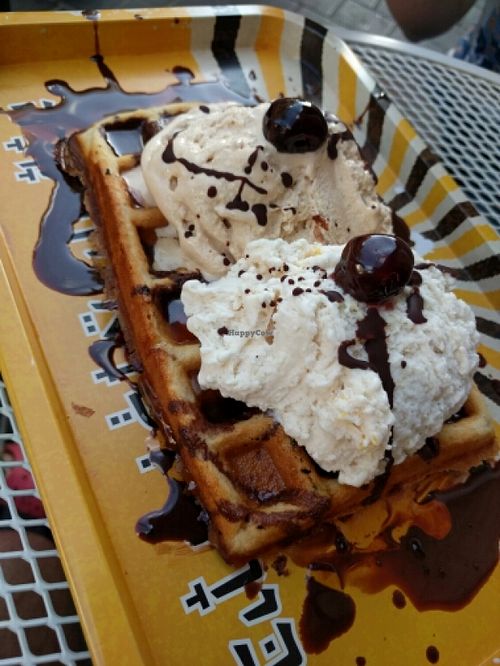 Vegan waffle at Gala Gelateria in Tel Aviv