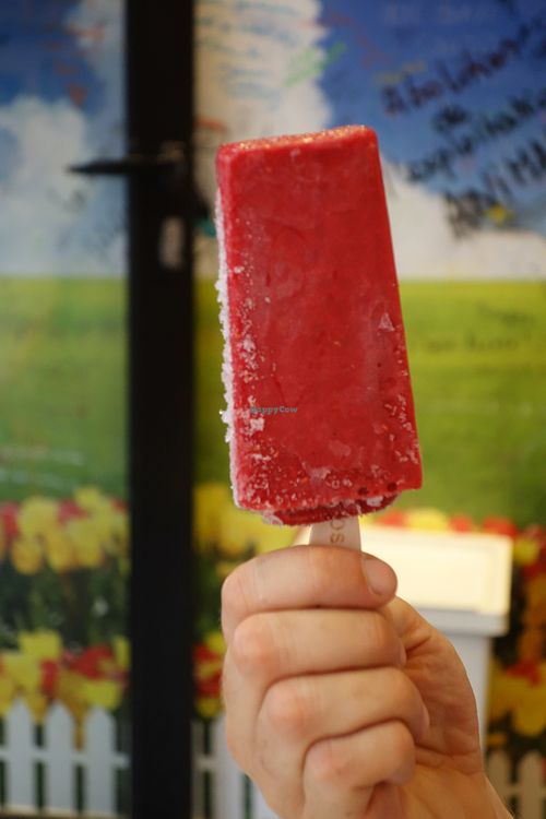 Vegan raspberry sorbet, made without any artifial flavouring or colouring, in the South of France at Pittz in Aix-en Provence