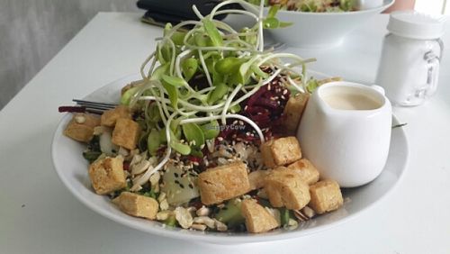 Dragon Bowl at VegetaBowl in Koh Tao