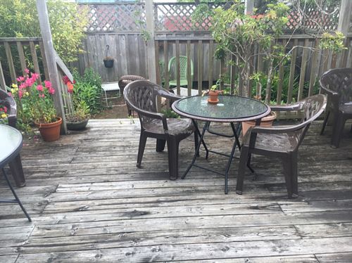 backyard patio super nice at The Tin Thistle Garden Cafe in North Bend