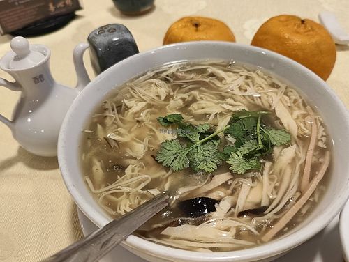 Shark fins soup at Supreme Vege 善心缘 - Bras Basah in Central Singapore