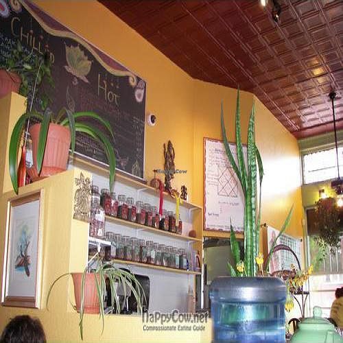  at Annapurna's World Vegetarian Cafe - UNM in Albuquerque