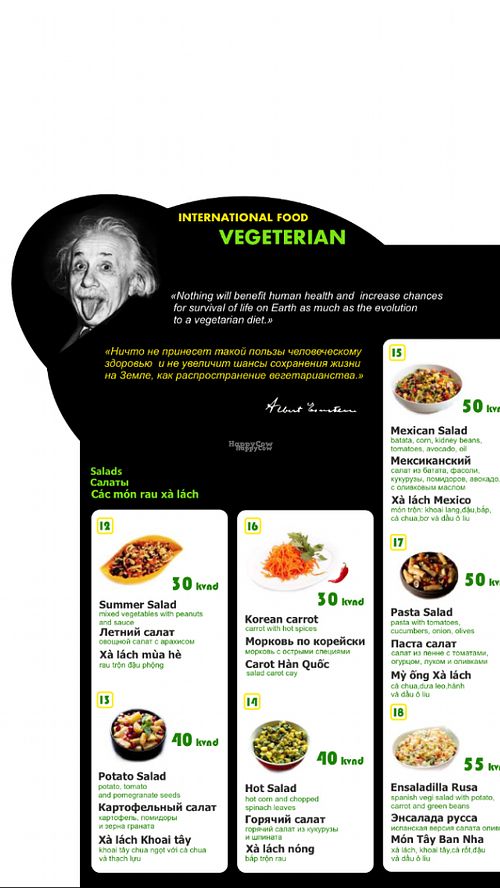 Veggie Salad
Raw Salad
Cooked and Non cooked Salad
Green forest Salad at EL Cafe International Vegan Food in Phan Thiet