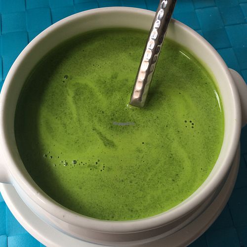 raw pea and spinach soup at El Karmem in Malaga