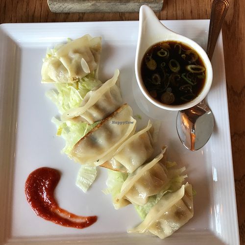 dumplings at Green Elephant Vegetarian Bistro & Bar in Portsmouth