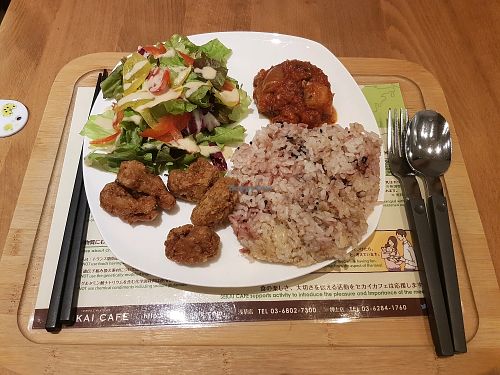 Veggie Kara Don at Sekai Cafe  in Tokyo