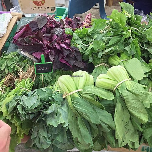 affordable, local, organic  at Organic Farmers' Market Chiang Mai in Chiang Mai