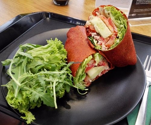 My favourite: raw veggie wrap with cashew cheese in vegetable leather! at Forky's - Jakubské Nam. in Brno