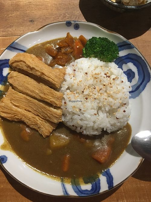 Delicious curry!  at Tzung Yě Shū Shí - Vegan Ramen in Hsinchu