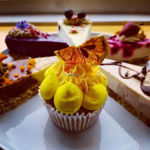 Vegan Cup Cake at Power Plant Cafe in Templestowe