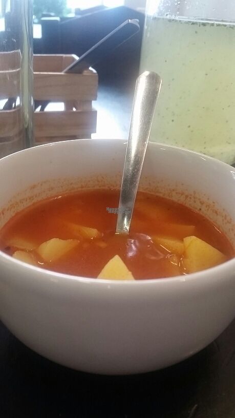 sopa de poro y papa  at Itacatl Fonda Vegana in Mexico City