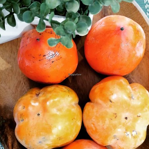 fresh at Mao de Terra in Alcochete