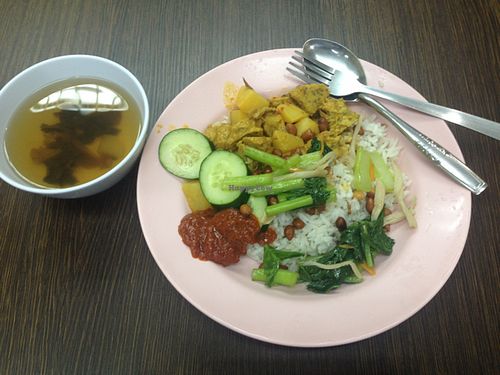 Vegan mixed rice w/ curry at Wonder Chef's Veggie in Kuala Lumpur