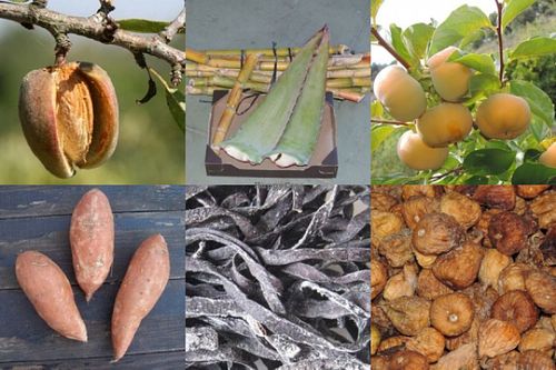 fruit and vegetables, seaweed and other produce from local farmers in Spain at Raw in Berlin Fresh Food-Coop in Berlin