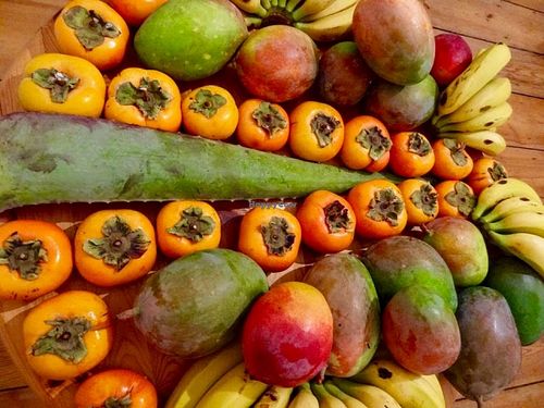 Fruits from the 1st delivery, directly from the trees in Andalusia to consumers.  at Raw in Berlin Fresh Food-Coop in Berlin