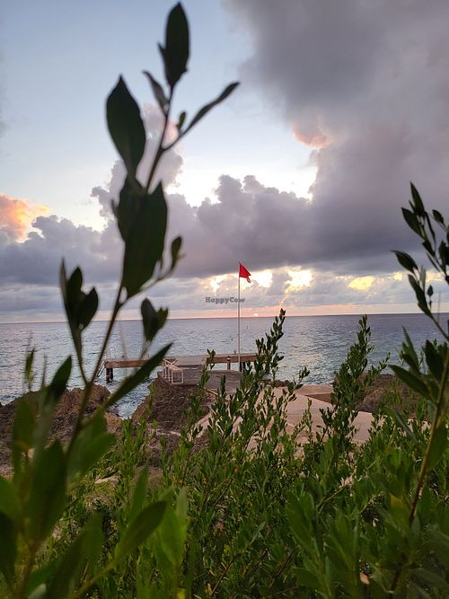 The view at Vivo Cafe & Restaurant in West Bay