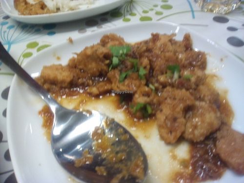 Spicy chicken (can't recall the exact name) at Inala Vegan Restaurant in Inala