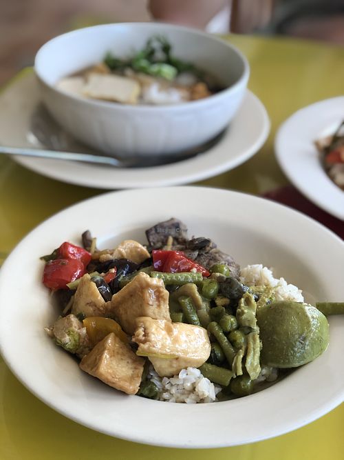 Rice, green curry, fried tofu at Dtrairatanrap ร้านอาหารเจ กวนอู in Chiang Mai