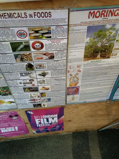 hey at Oracles Organic in South West London