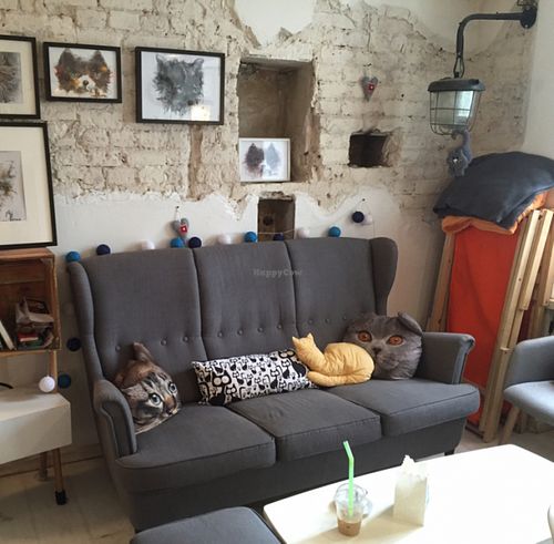 beautiful interior at Kawka z Kotem in Warsaw