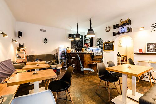 Kawka z kotem - the main room at Kawka z Kotem in Warsaw