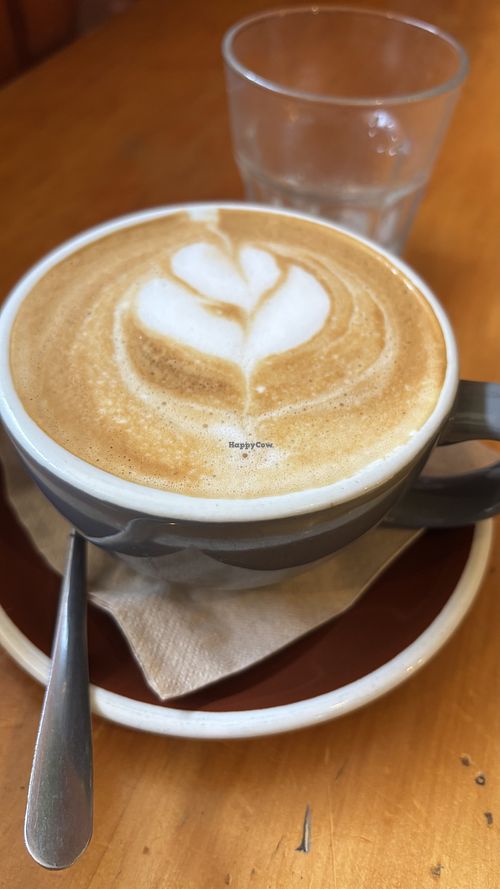 Large soy flat whitee  at Potpourri Vegetarian Cafe in Dunedin