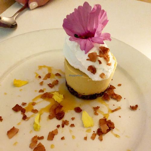 Beautiful cheesecake  at Little Pine in Los Angeles