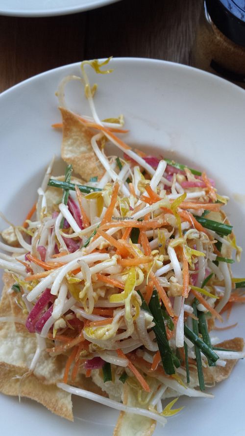 Vegan wanton salad - fresh and delicious at The Glass Den in Coburg