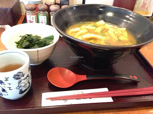 Curry flavoured udon noodles with small chunks of tofu :) at Mimikou in Kyoto