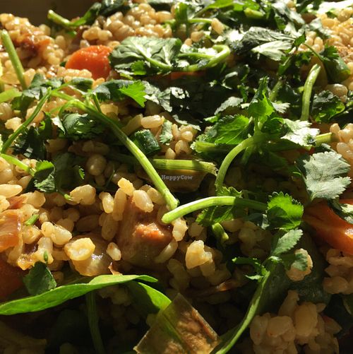 crowder bowl at Naked Lunch in Herndon