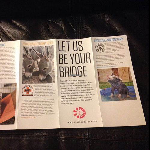 special little flyer by blossom at Blossom du Jour - Union Square in New York City