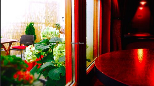 Rear garden, shade, comfort and smoking on request :). Otherwise they do not smoke there. at Blatouch in Prague