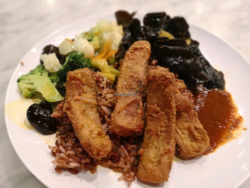 Vegetarian Meal $4.80 at Perfect Vegetarian in Central Singapore