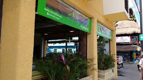 Photo from the 30 avenue. Great open place! at Clorofila in Playa Del Carmen