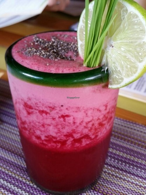 camaleon at Clorofila in Playa Del Carmen