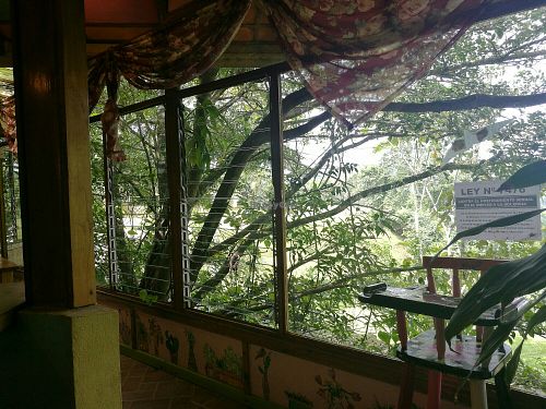 nice view in the restaurant at Lands in Love - Vegan Hotel & Resort in Alajuela